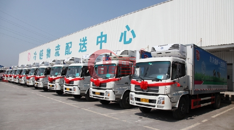 淺析我國農(nóng)產(chǎn)品市場冷鏈物流